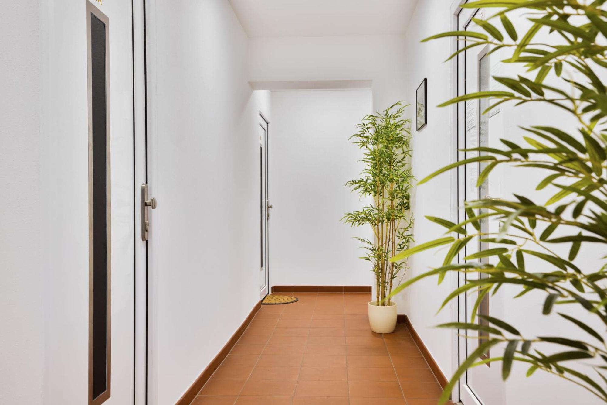 Apartmany Дечин Экстерьер фото